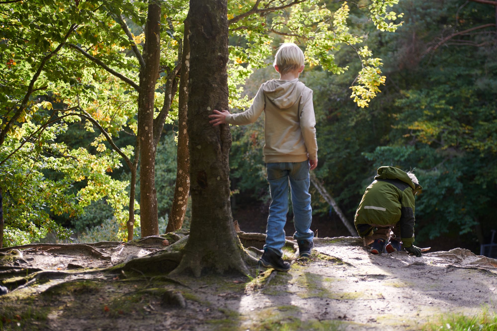 To drenge på 7 år leger i en skov