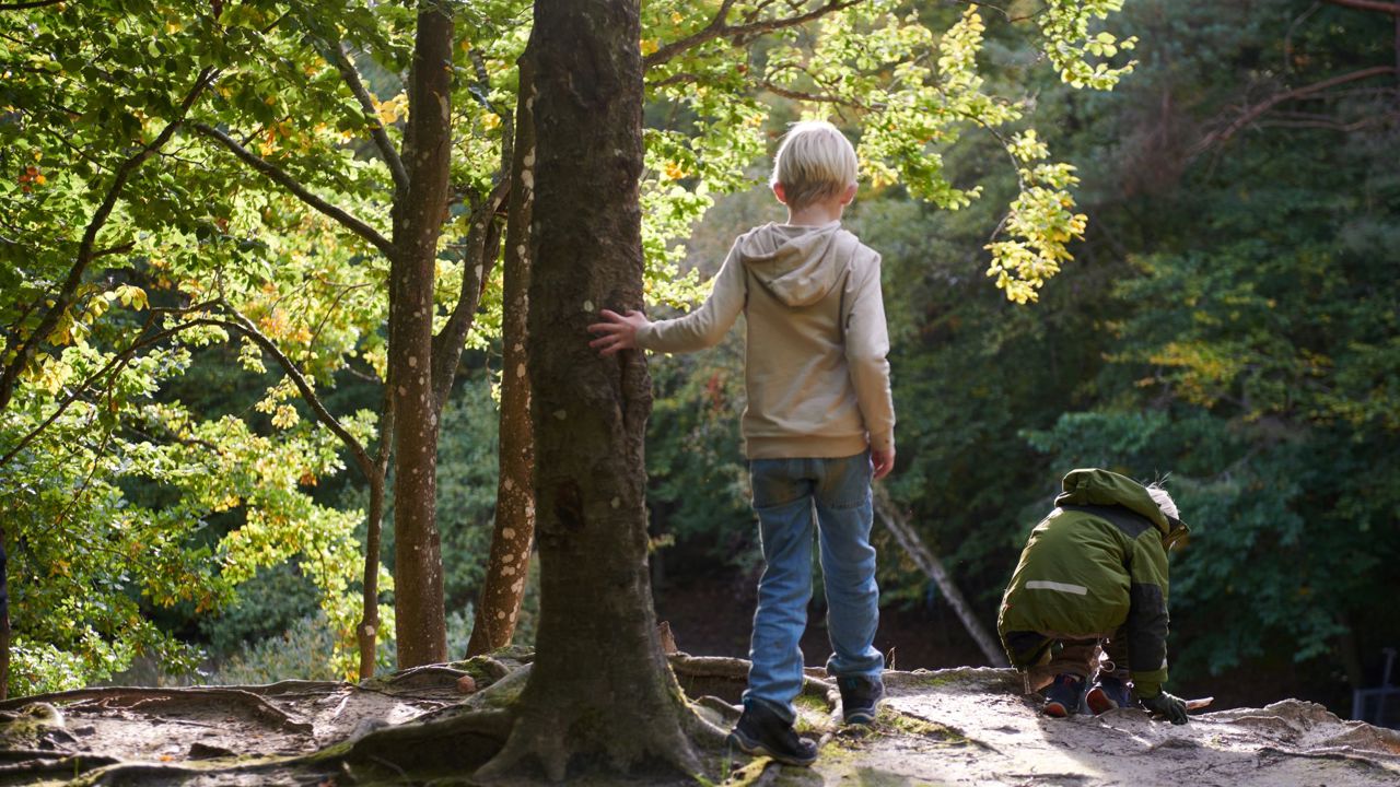 To drenge på 7 år leger i en skov