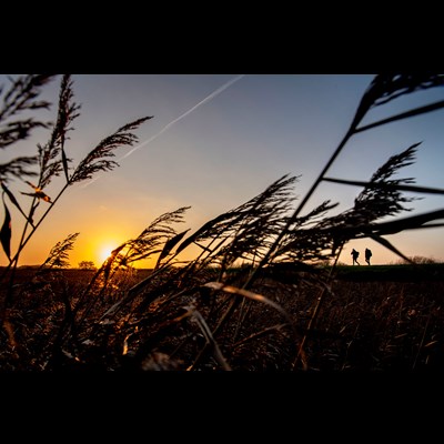 Solnedgang over Tøndermarsken