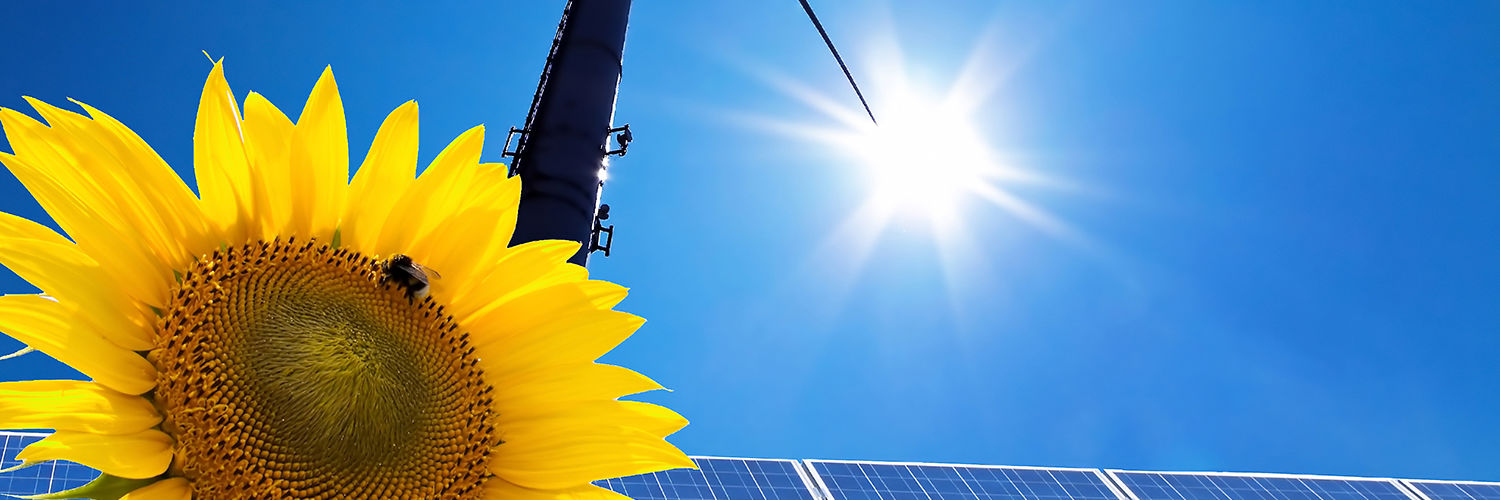 Solcelleanlæg og vindmølle samt en solsikke