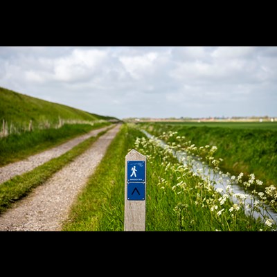 Billedet er taget i marsken ved diget en sommerdag og viser en sti, en kanal, hvide blomster og en by i baggrunden