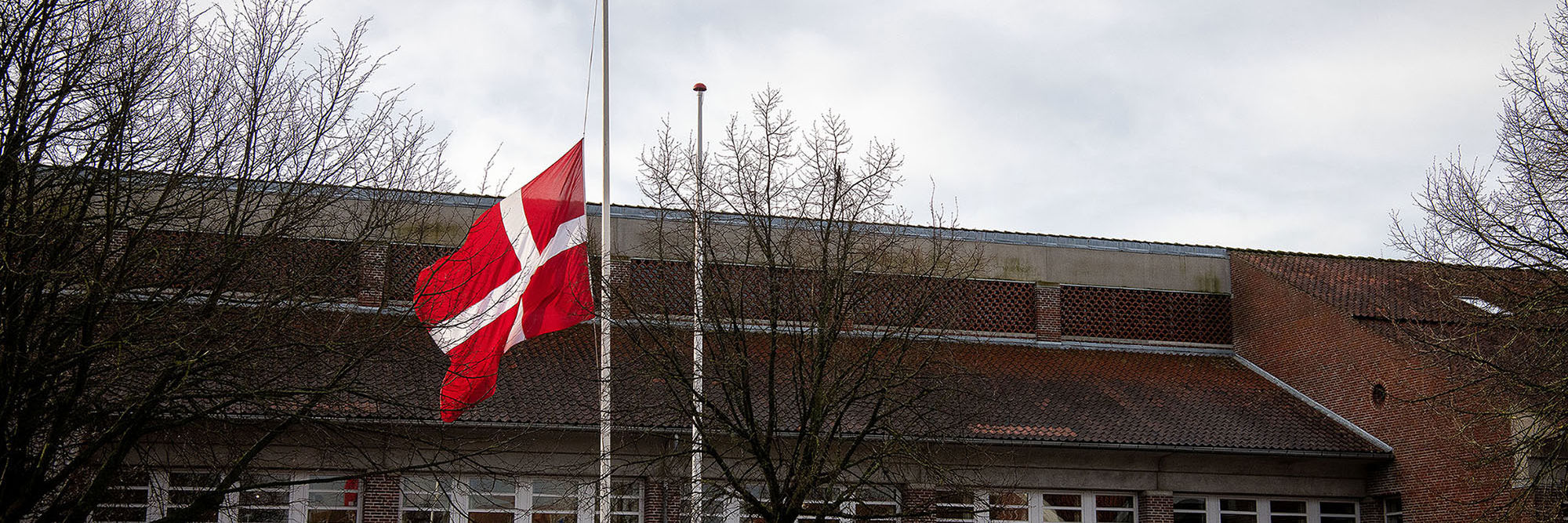 Flag på halv