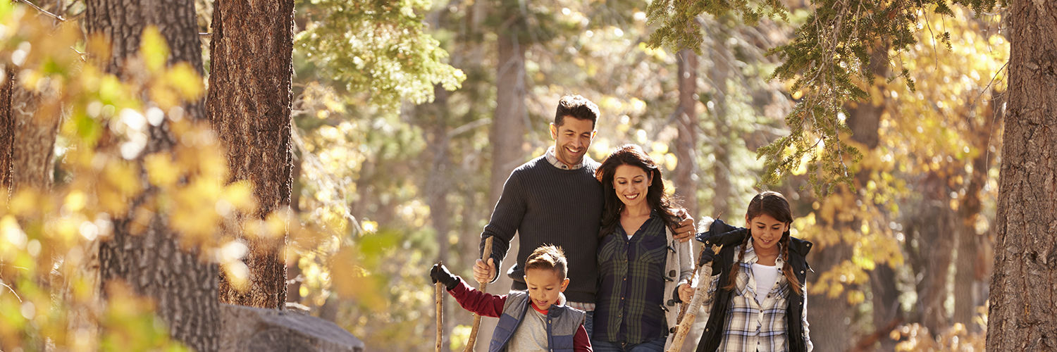 Familie, der er ude at gå i skoven