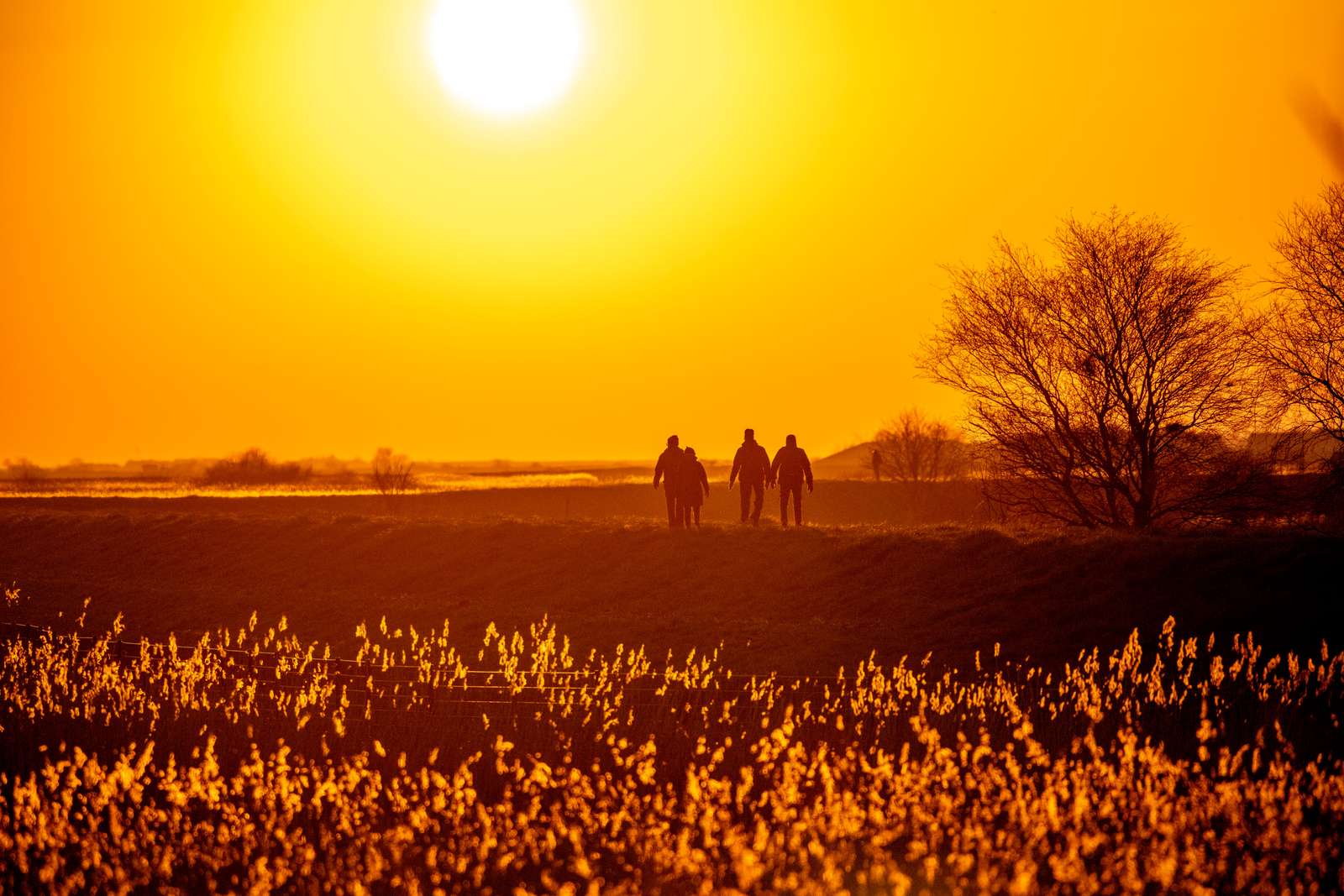 Mennesker går tur i naturen. Solen går ned og der er siv i forgrunden.