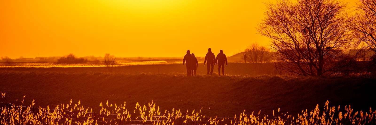 Mennesker går tur i naturen. Solen går ned og der er siv i forgrunden.