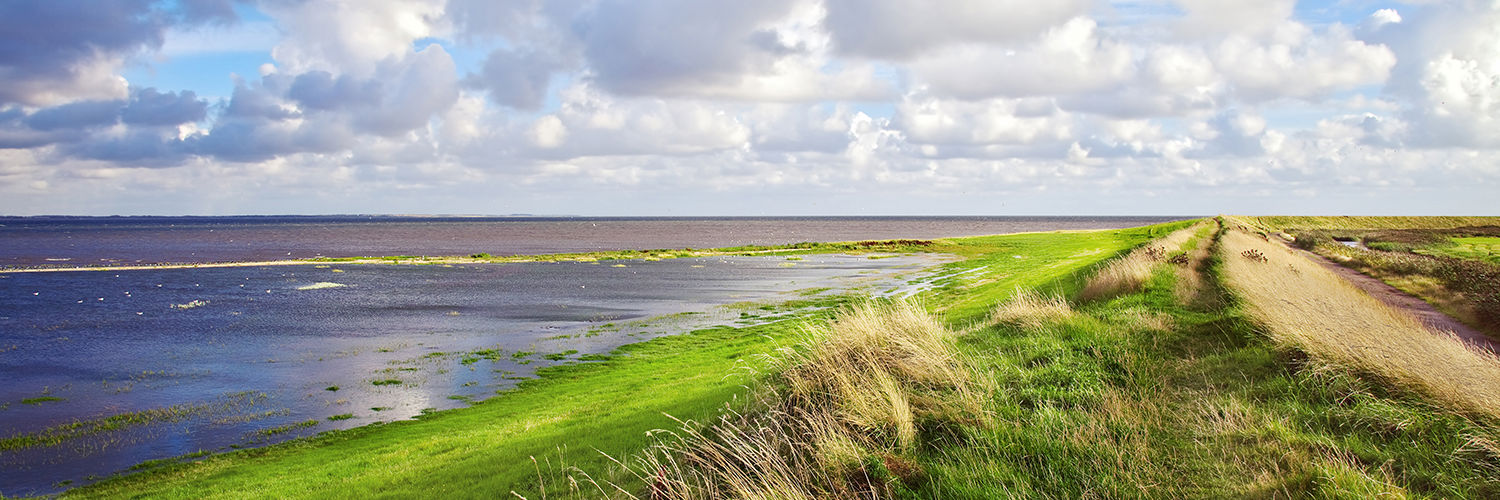 Vadehavet ved Rømø samt diget en sommerdag