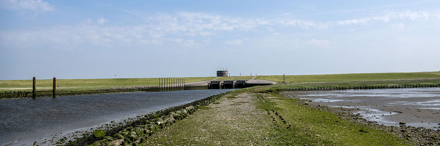 Vidåen ved Højer Sluse
