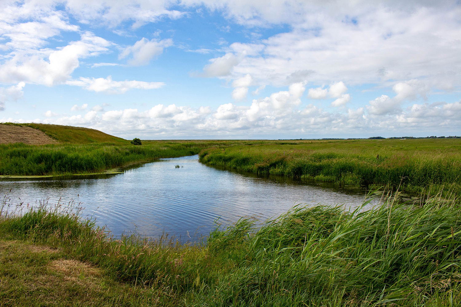 Vand og natur og blå himmel