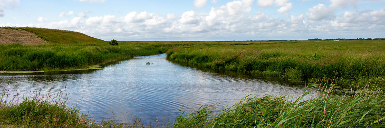 Vand og natur og blå himmel