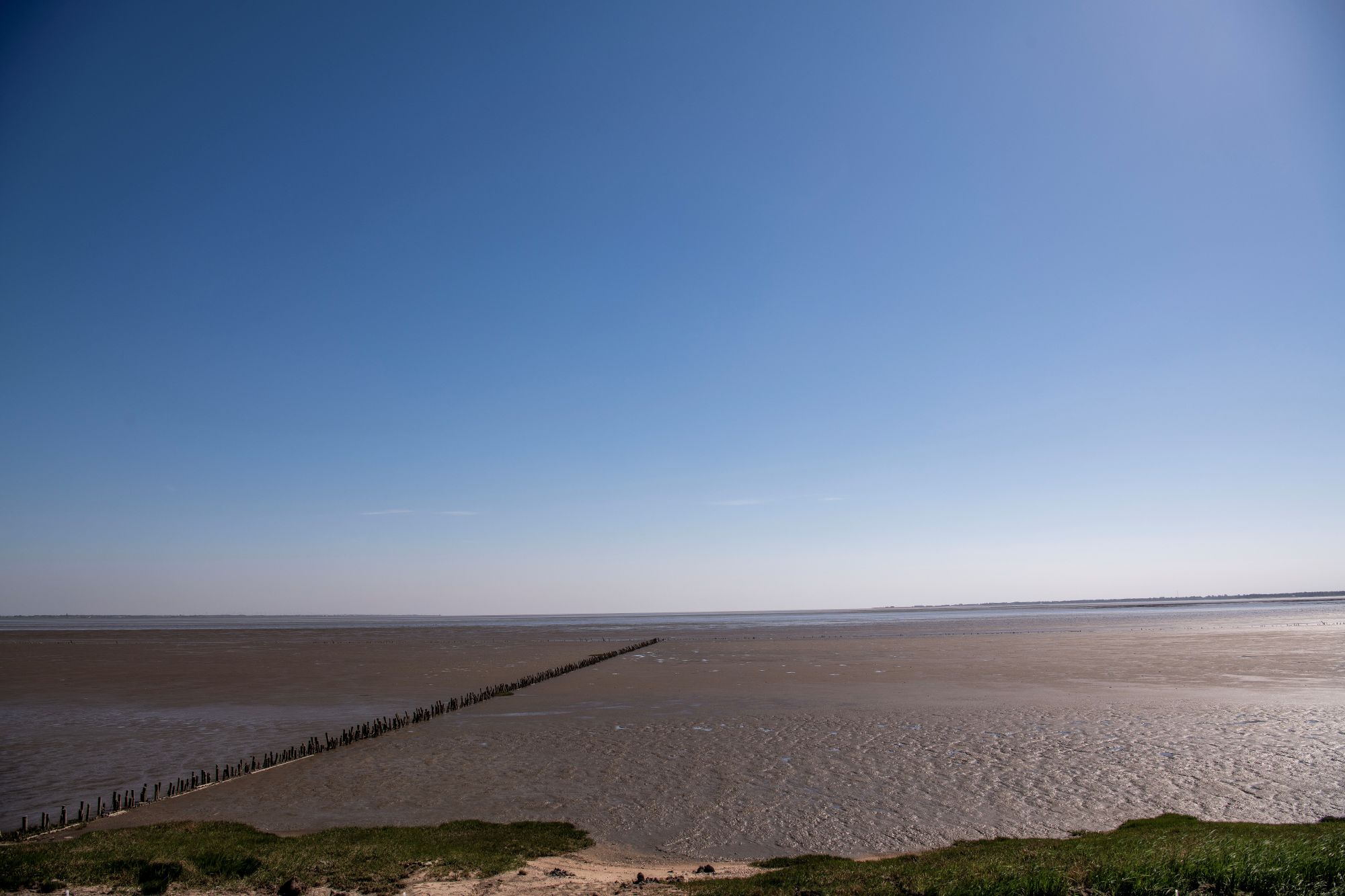 Rømø strand